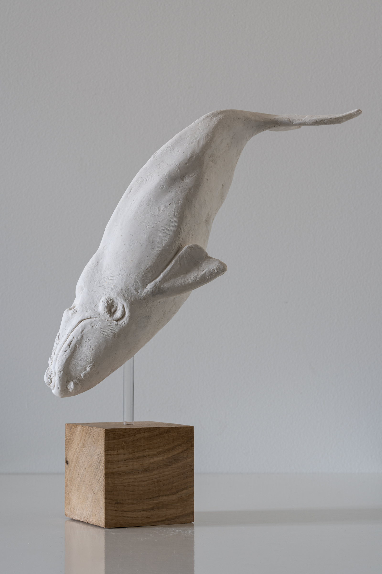 Stranded_1 Stranded_1